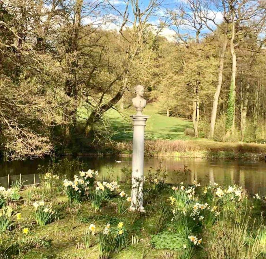 Exklusives Wohnen Am Stadtpark บัดดรีบวร์ก ภายนอก รูปภาพ