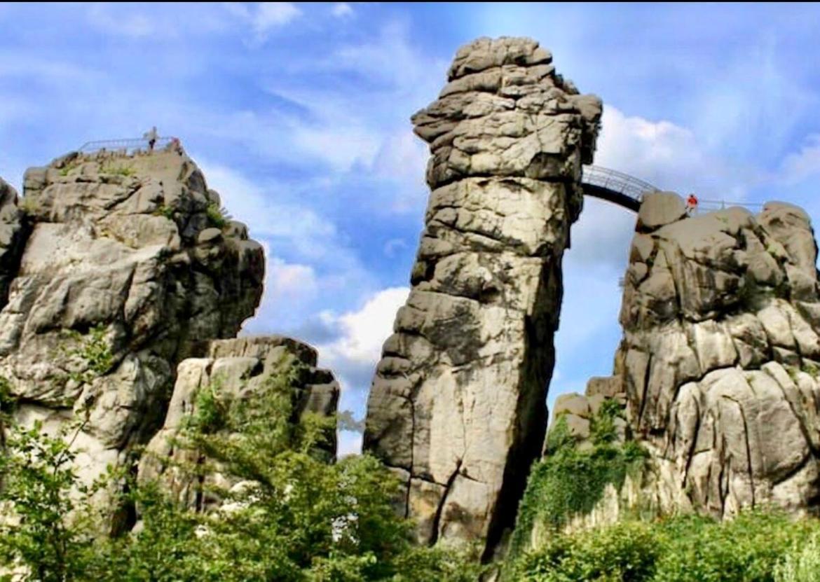 Exklusives Wohnen Am Stadtpark บัดดรีบวร์ก ภายนอก รูปภาพ
